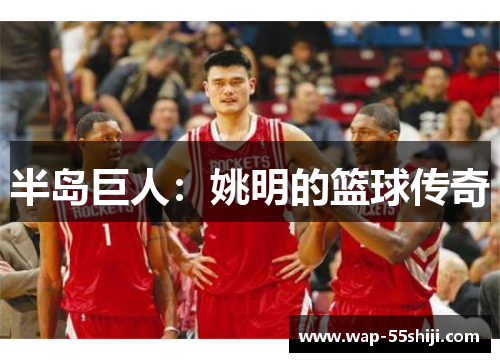 半岛巨人：姚明的篮球传奇