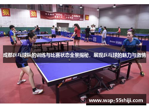 成都乒乓球队的训练与比赛状态全景揭秘，展现乒乓球的魅力与激情