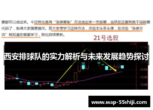 西安排球队的实力解析与未来发展趋势探讨